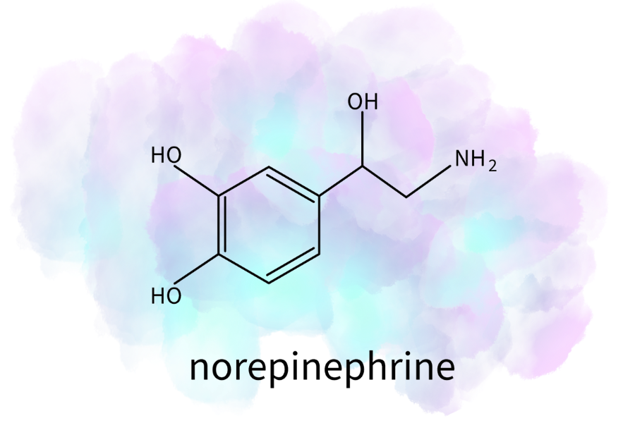 Norepinephrine-TMS-for-depression-iMind-Mental-Health-Solutions.
