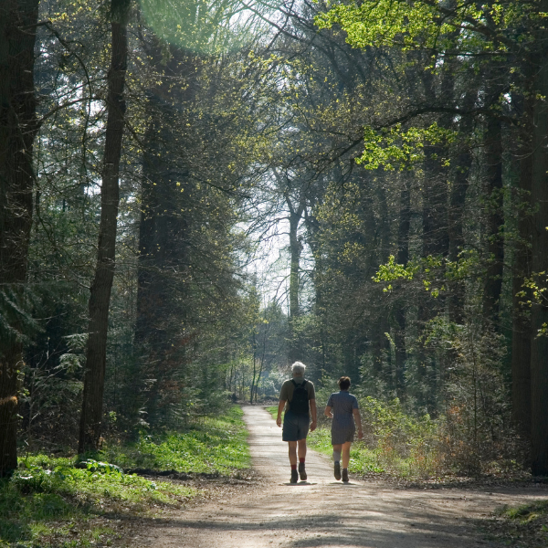 two people walking down a path in the woods, exercise benefits on mental health, iMind Mental Health Solutions