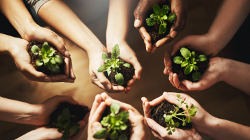 the-hands-of-seven-people-holding-seedlings-in-earth-social-media-affect-on-mental-health-children-teens-adolescents-iMind-Mental-Health-Solutions